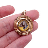 Victorian C. 1890 Gold Filled Hand Painted Crystal Hound Dog Pendant